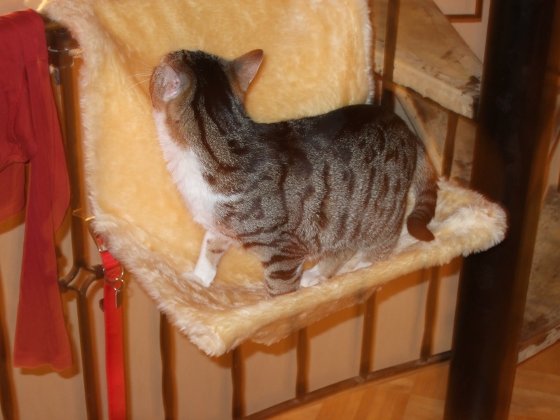 Ostern 2007 Orleshausen 100 